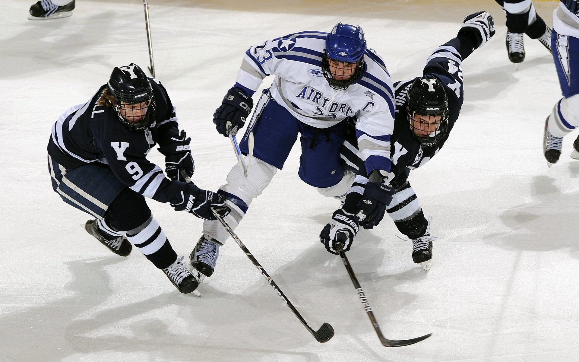 开运app入口-Palmer成长之路备受外界期待