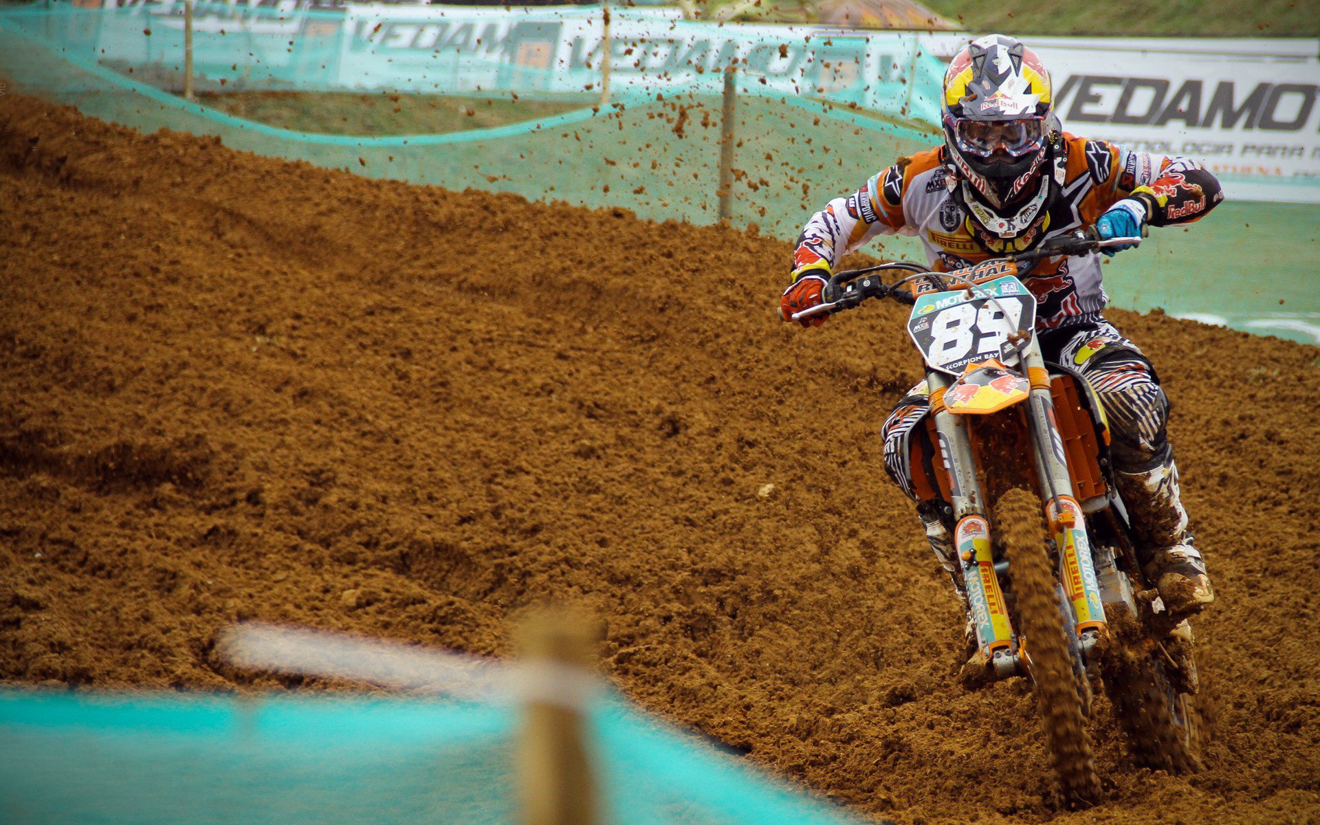 Palmer成长之路备受外界期待